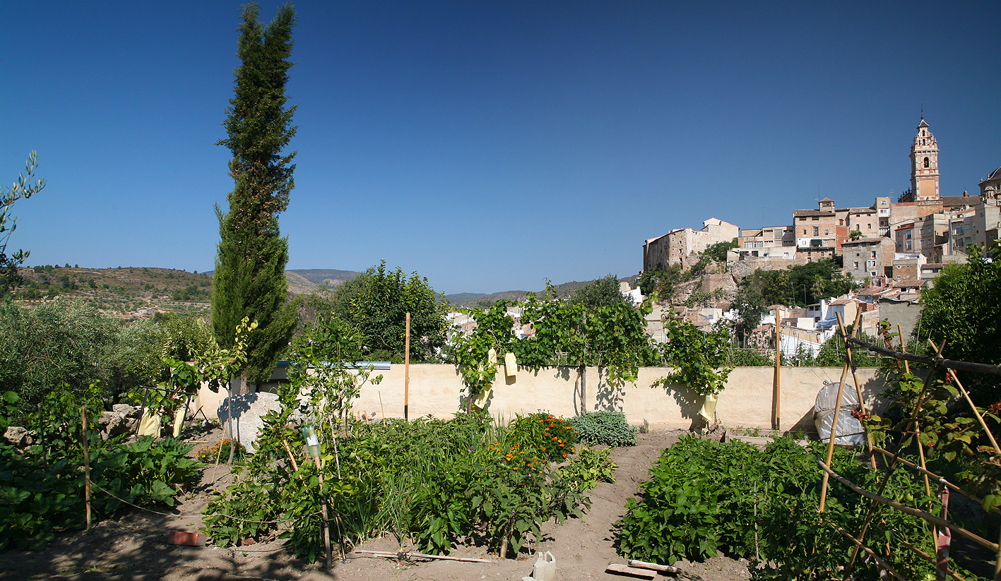 Our vegetable garden in Chelva
